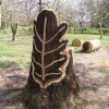 Seat carving at Thornham