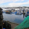 Boats, Torquay
