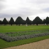 Gardens Hampton Court Palace