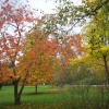 Hampton Court Palace & Gardens, East Molesey, Surrey
