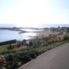 The harbour, Lyme Regis