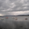 Yachts, near Oban