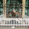 Northampton 2010