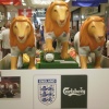 Northampton 2010