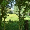 Minster - In-Thanet Abbey grounds