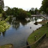 Carshalton Pond