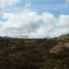 Road to the Isles, near Invermoriston