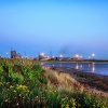 Nature of the Beast - Redcar