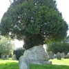In Churchyard at Wiveliscombe