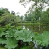 Coughton Court June 2008