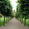 Coughton Court June 2008