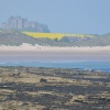 Bamburgh from Seahouses harbour