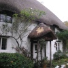 Thatched cottage Devon