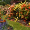 Exbury Gardens