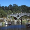 The River Teifi at Cenarth