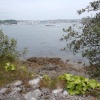 Mount Edgcumbe House, June 2009