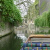 College Backs, Cambridge