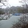King Harry Ferry crossing the River Fal