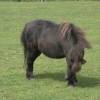 At West Caister