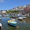 Brixham Harbour, Devon