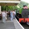 At Llwyfan Cerrig Station, near Bronwydd Arms.