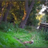 Shady Spot, Great Paxton.