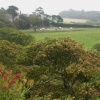 Carisbrook Castle