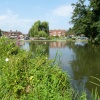 Sunday Lunchtime by the Wey
