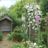 Gentleman's Cottage Garden at Barnsdale