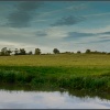 Evening Sun , Willoughby.