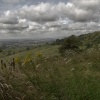 The Severn Vale