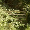 No Footpath!