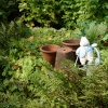 Welcome To Peter Rabbits Garden