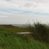 Windswept Coast
