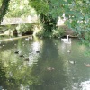 Abingdon, the river Thames