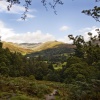 Fairfield Horseshoe 1