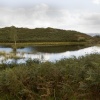 Lily Tarn and Windermere