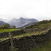 Langdale Pikes from Loughrigg 1