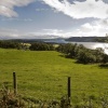 Skelghyll Woods 8
