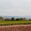 Halberton
