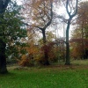 Christmas Common, Oxfordshire