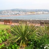 Shaldon gardens