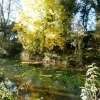 Burlescombe