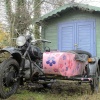 Quirky colour pictured in Horsley