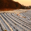 Snowy field, Rainford