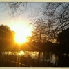Valence Park,Dagenham