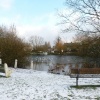 Lower Ashtead Pond