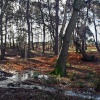Arne Winter, December 2012
