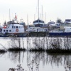 Benfleet Creek, South Benfleet