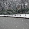 Snowing In Roker Park